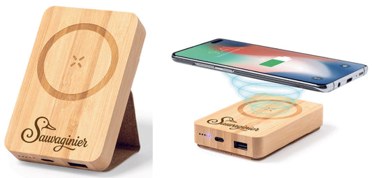 Power bank SAUVAGINIER